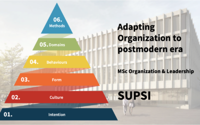Adapting organisations to postmodern era (MSc Organization and Leadership)